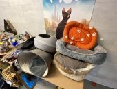 30-11-25 MARKET on the CATBOAT