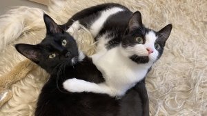 samen